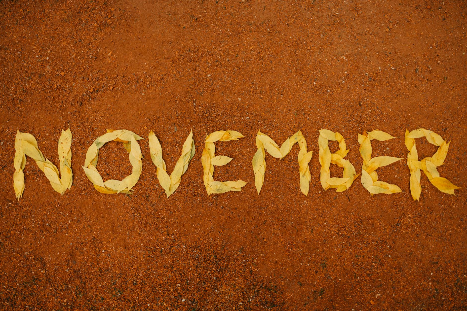 november inscription made from leaves